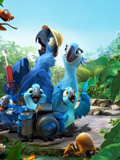 2014 Rio 2 Movie wallpaper 240x320