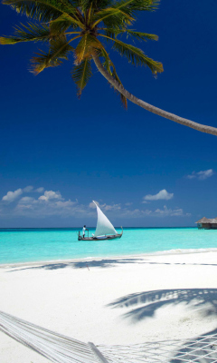 Beach With View Of Ocean And White Boat screenshot #1 240x400