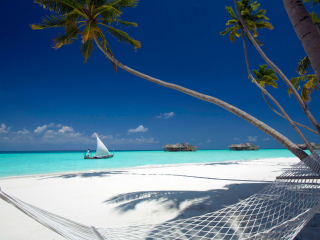 Beach With View Of Ocean And White Boat wallpaper 320x240