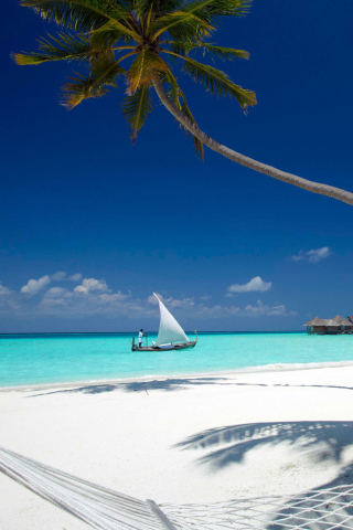Beach With View Of Ocean And White Boat screenshot #1 320x480