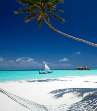 Beach With View Of Ocean And White Boat sfondi gratuiti per HTC Pure