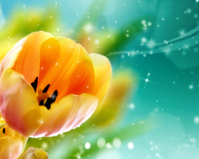 Das Bokeh Tulip Wallpaper 220x176