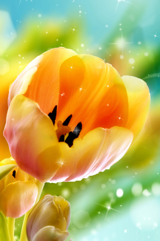 Fondo de pantalla Bokeh Tulip 320x480