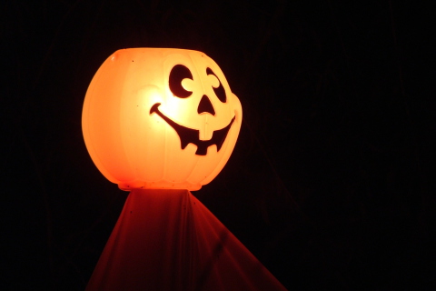 Halloween Pumpkin screenshot #1 480x320