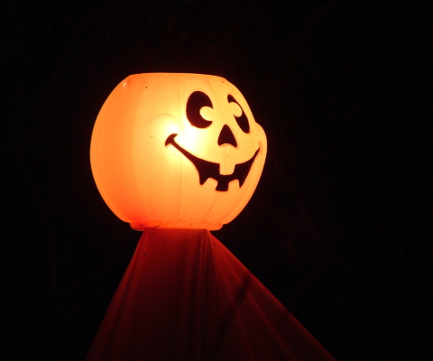 Sfondi Halloween Pumpkin 480x400