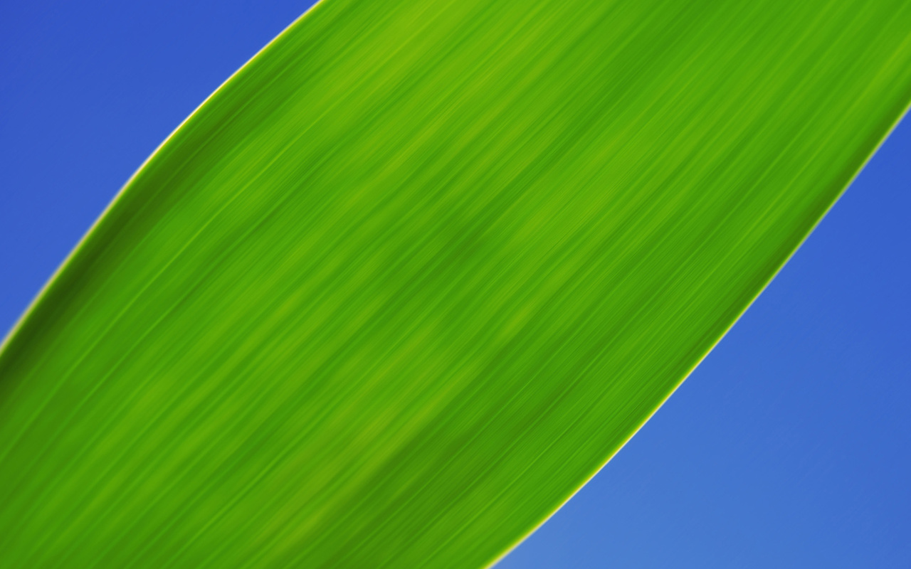 Screenshot №1 pro téma Green Grass Close Up 1280x800
