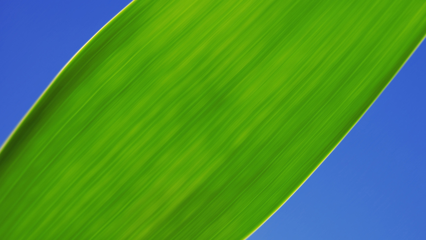 Screenshot №1 pro téma Green Grass Close Up 1366x768
