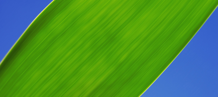 Screenshot №1 pro téma Green Grass Close Up 720x320