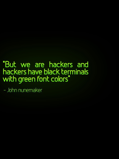 Das But We Are Hackers Wallpaper 480x640