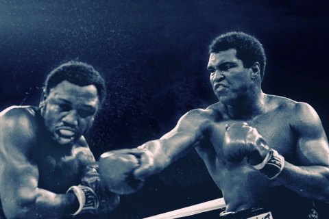 Screenshot №1 pro téma The Greatest Muhammad Ali 480x320