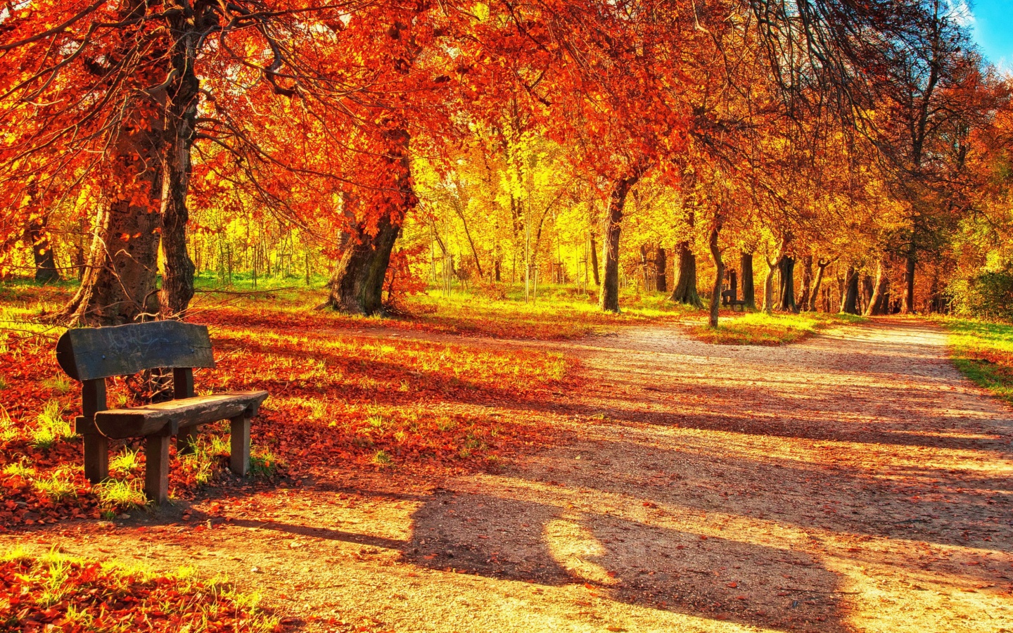 Обои Autumn Park 1440x900