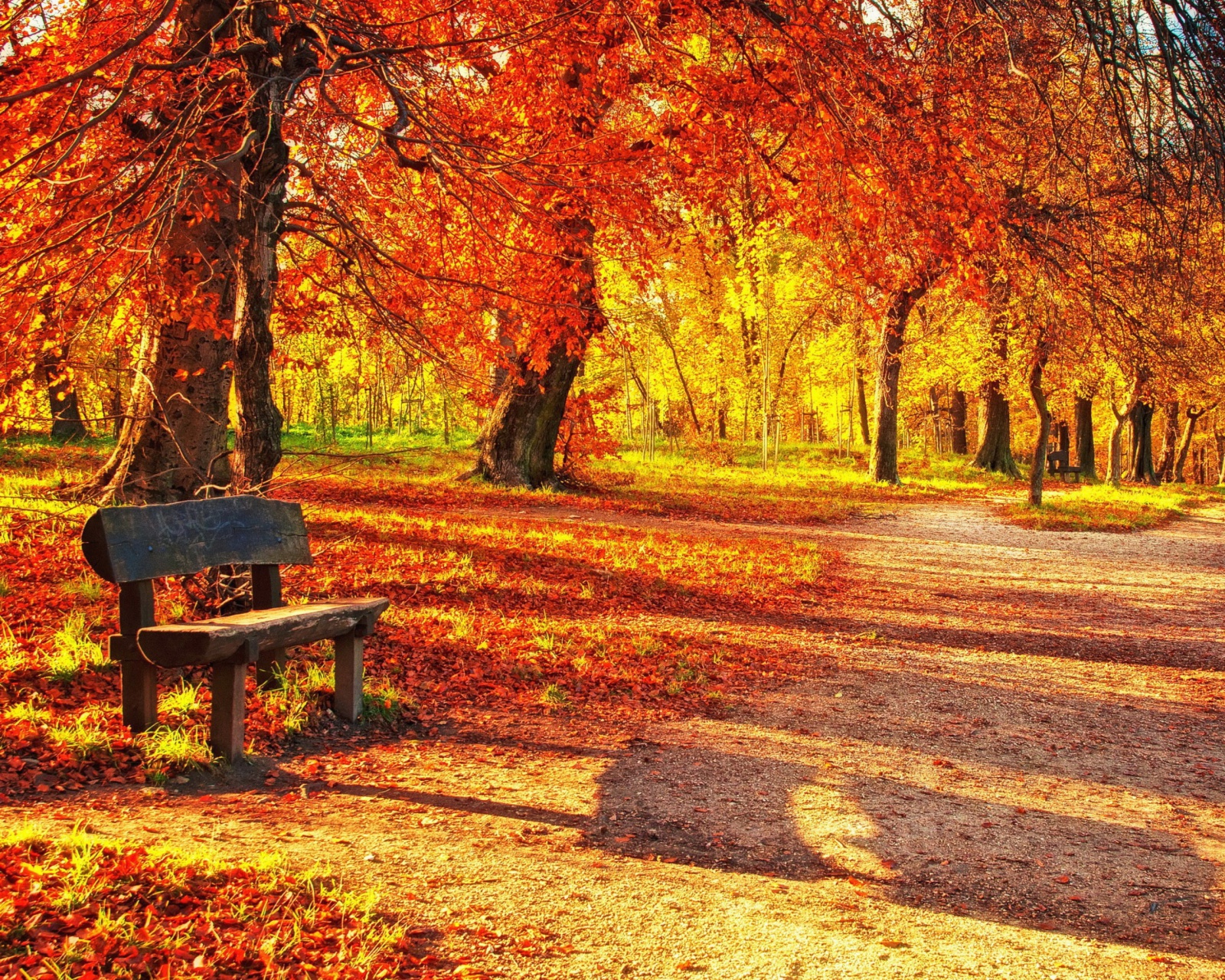 Autumn Park screenshot #1 1600x1280