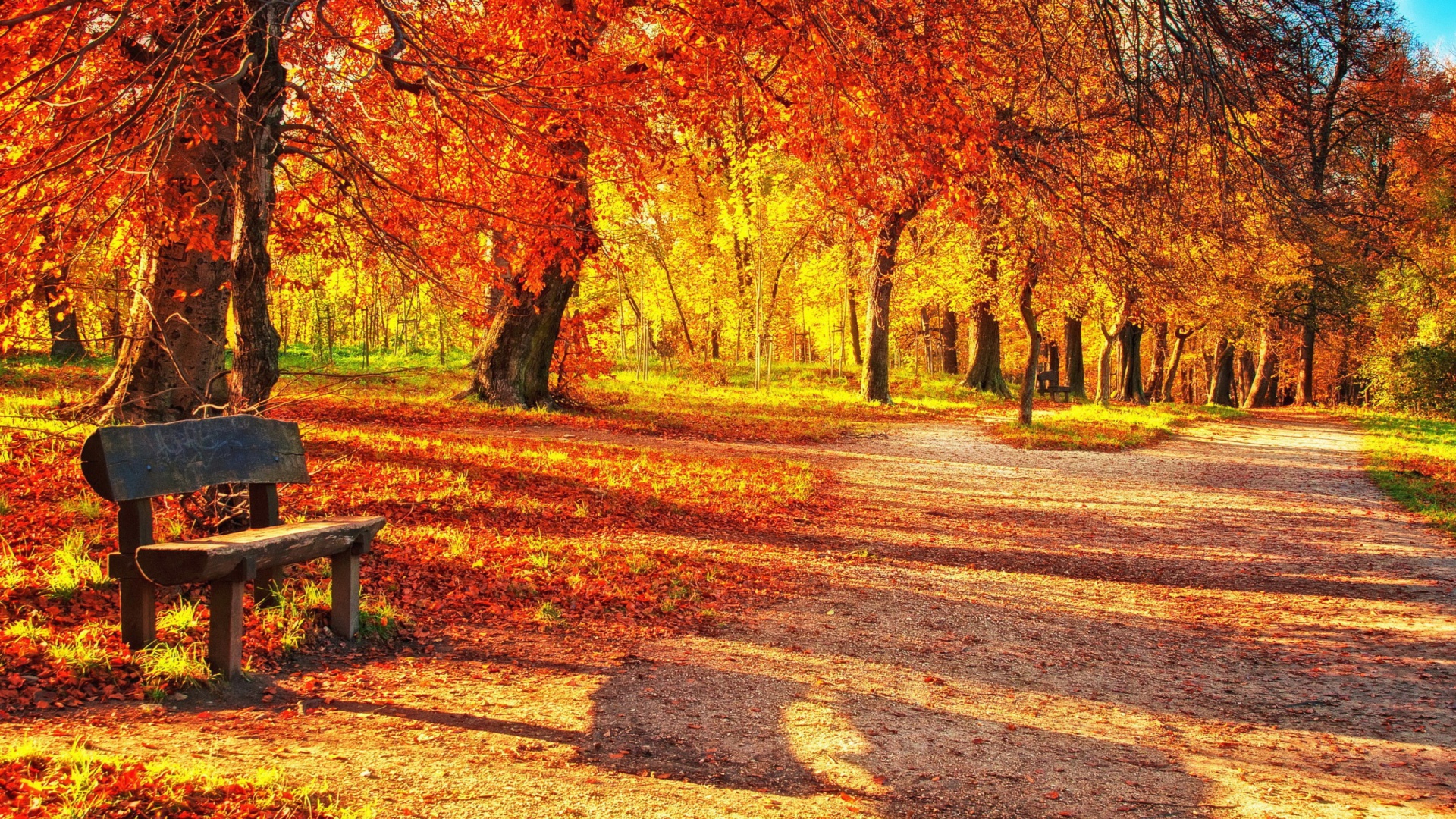 Screenshot №1 pro téma Autumn Park 1920x1080