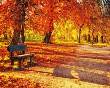 Autumn Park screenshot #1 220x176