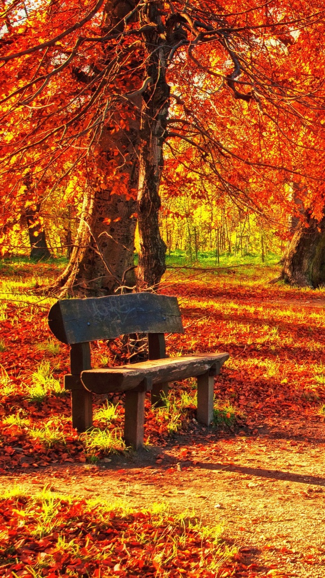 Обои Autumn Park 640x1136