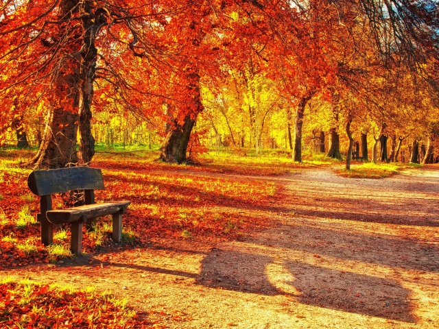 Das Autumn Park Wallpaper 640x480