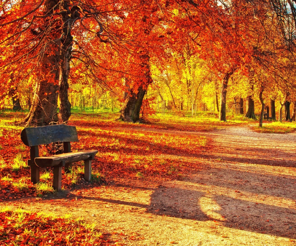 Autumn Park screenshot #1 960x800