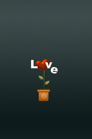 Fondo de pantalla Flower Of Love 320x480