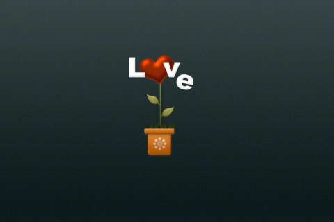 Fondo de pantalla Flower Of Love 480x320