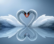 Screenshot №1 pro téma Swans Couple 176x144