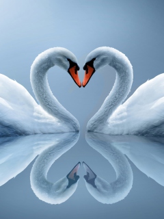 Screenshot №1 pro téma Swans Couple 240x320