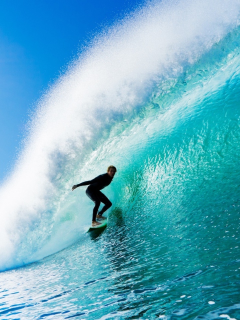 Das Fantastic Surfing Wallpaper 480x640