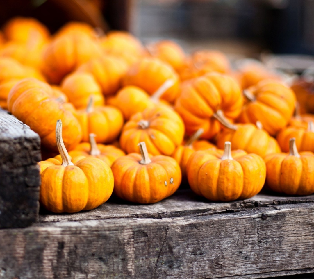 Fondo de pantalla Cute Small Pumpkins 1080x960