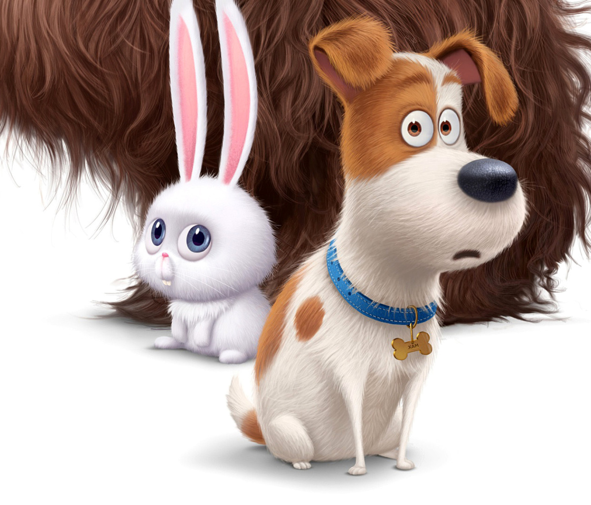 Sfondi The Secret Life of Pets Movie 2016 1200x1024