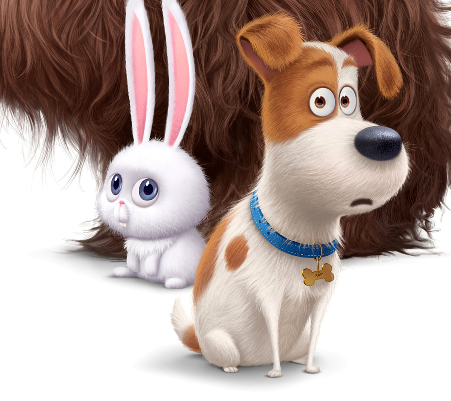 Sfondi The Secret Life of Pets Movie 2016 1440x1280