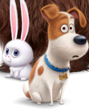 Fondo de pantalla The Secret Life of Pets Movie 2016 176x220