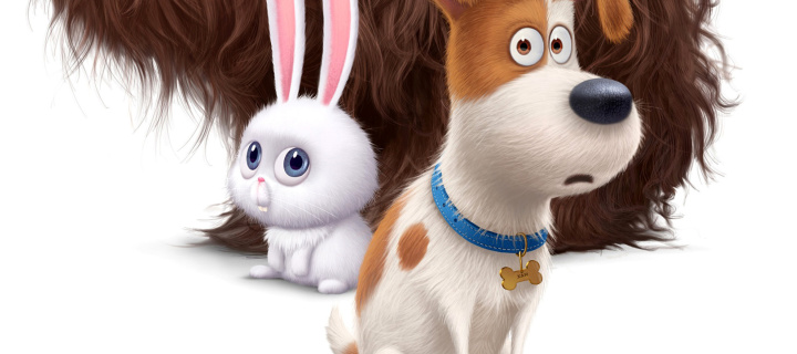 The Secret Life of Pets Movie 2016 wallpaper 720x320