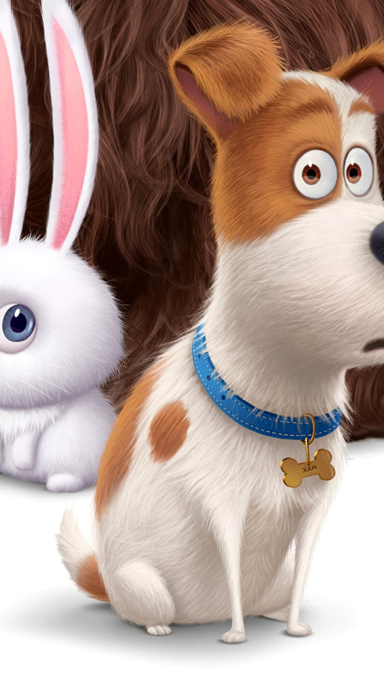 Sfondi The Secret Life of Pets Movie 2016 750x1334