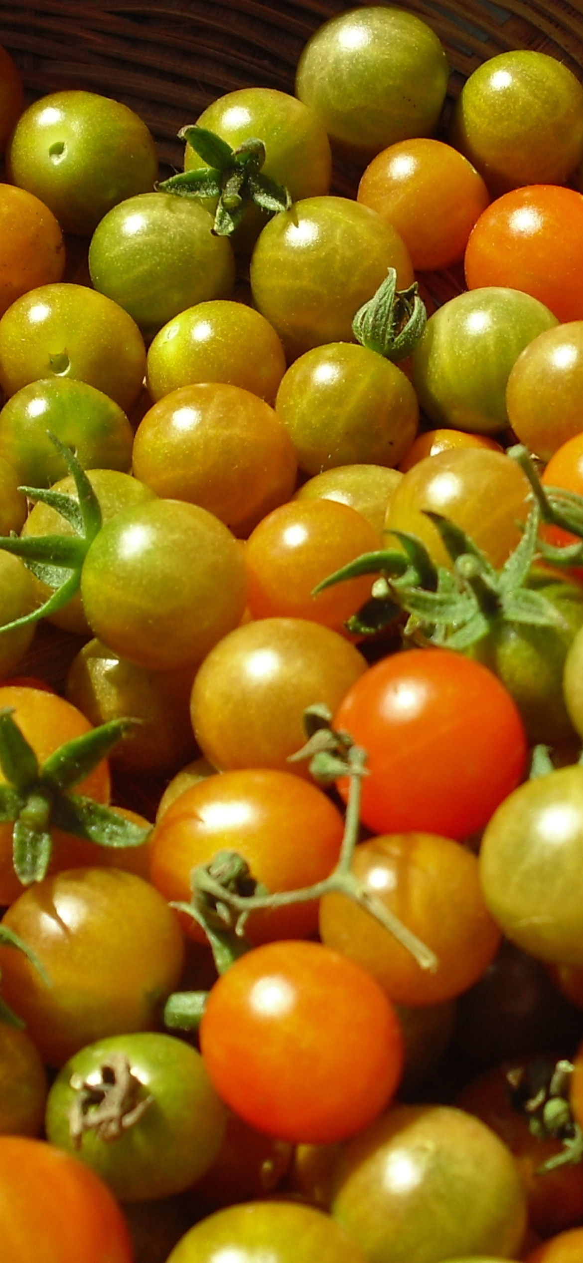 Обои Tomatoes 1170x2532