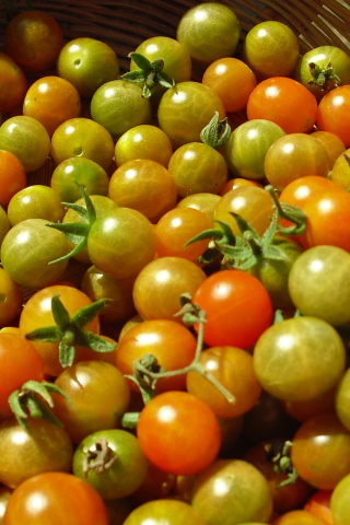 Обои Tomatoes 320x480