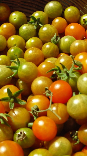 Tomatoes wallpaper 360x640