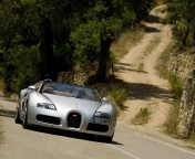Screenshot №1 pro téma Bugatti Veyron 16.4 Grand Sport 176x144