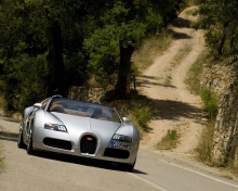 Обои Bugatti Veyron 16.4 Grand Sport 220x176