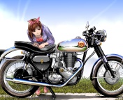 Screenshot №1 pro téma Anime Girl with Bike 176x144