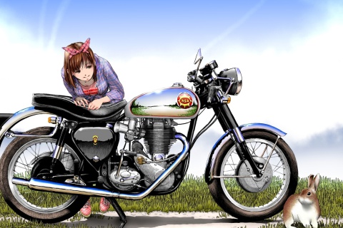 Обои Anime Girl with Bike 480x320