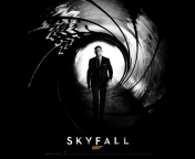Das James Bond Skyfall Wallpaper 176x144