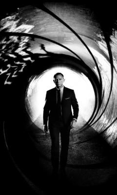 Das James Bond Skyfall Wallpaper 240x400