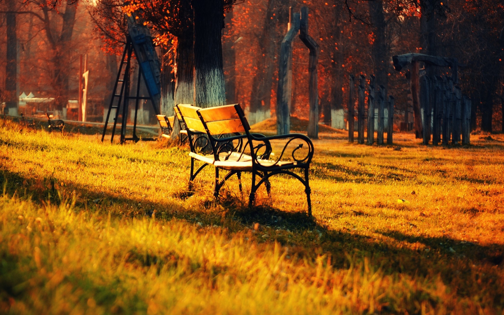 Das Autumn Walk In Park Wallpaper 1920x1200