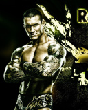 Screenshot №1 pro téma Randy Orton Wrestler 128x160