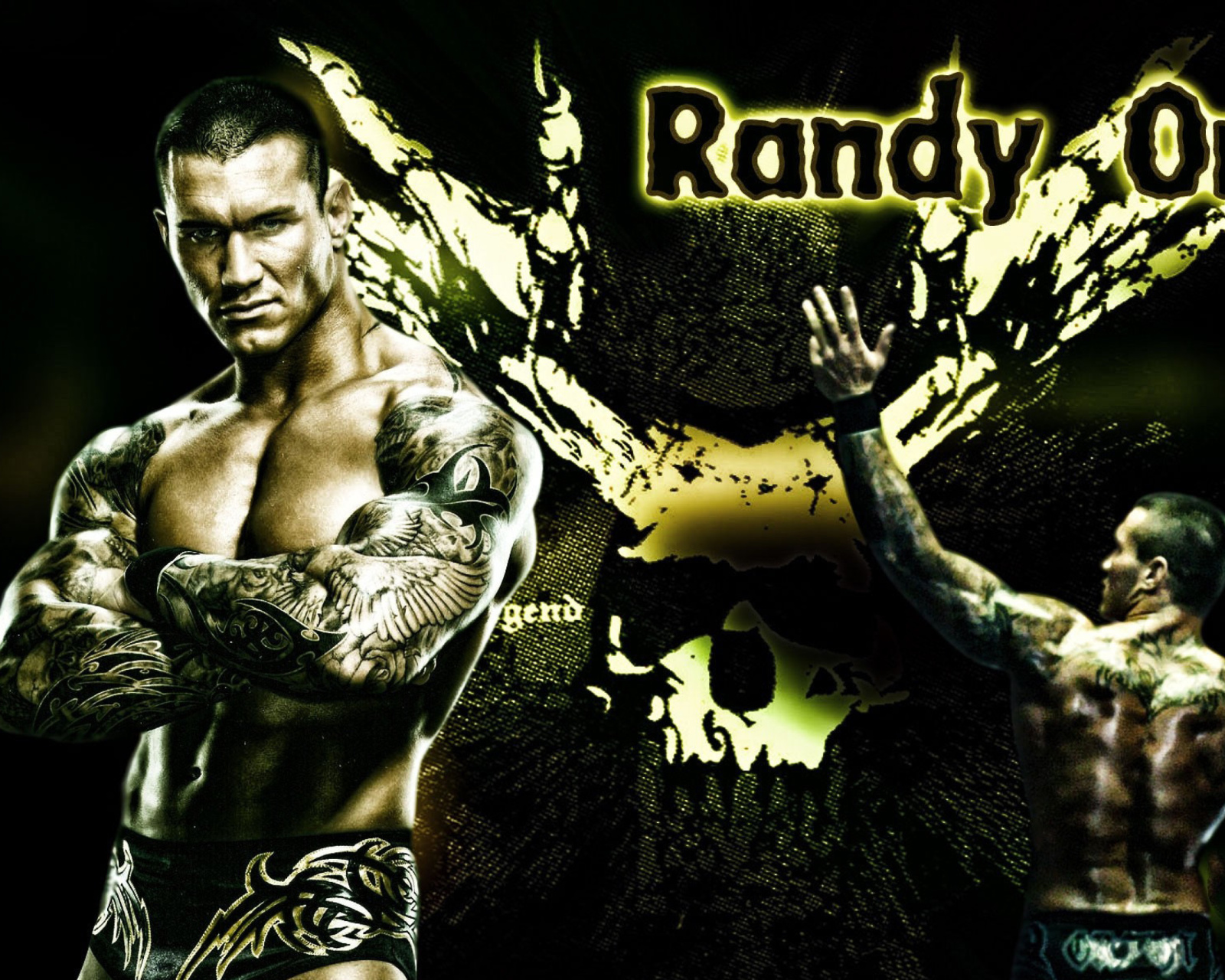 Обои Randy Orton Wrestler 1600x1280