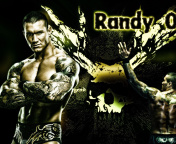 Das Randy Orton Wrestler Wallpaper 176x144