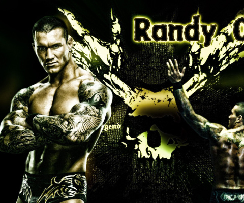 Fondo de pantalla Randy Orton Wrestler 480x400