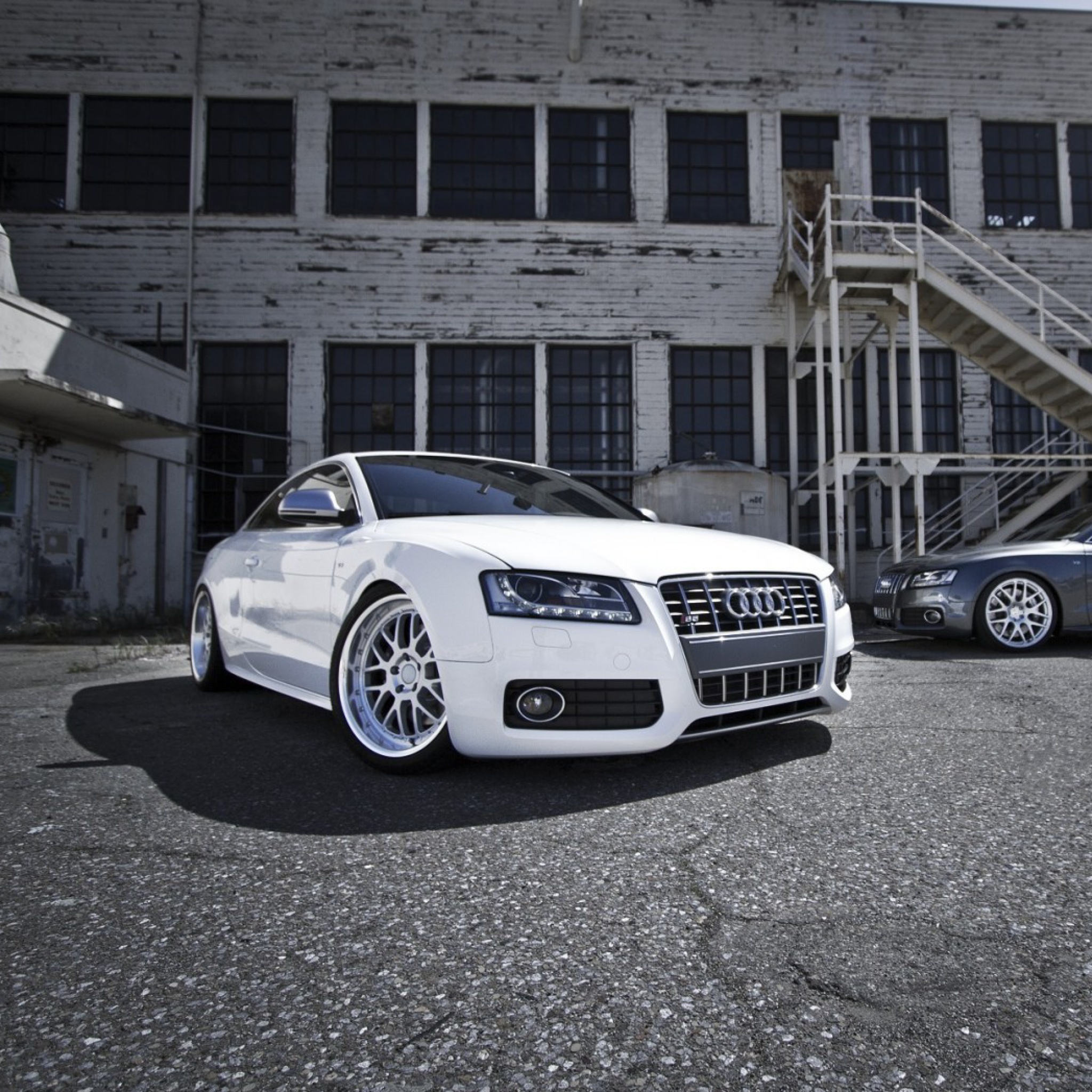 Обои Audi RS5 2048x2048