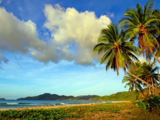 Fondo de pantalla Vietnam Beach 320x240