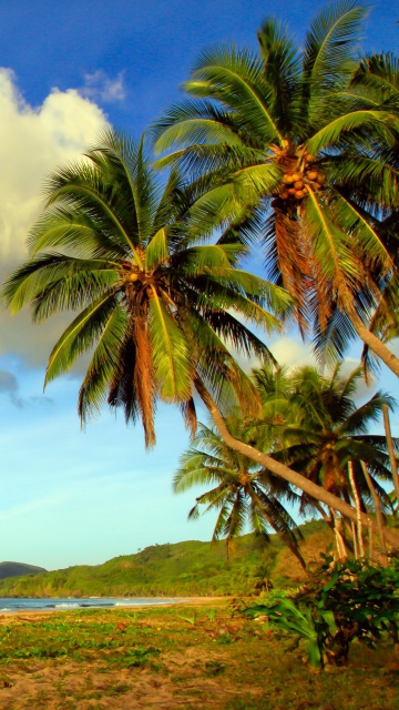 Vietnam Beach wallpaper 360x640