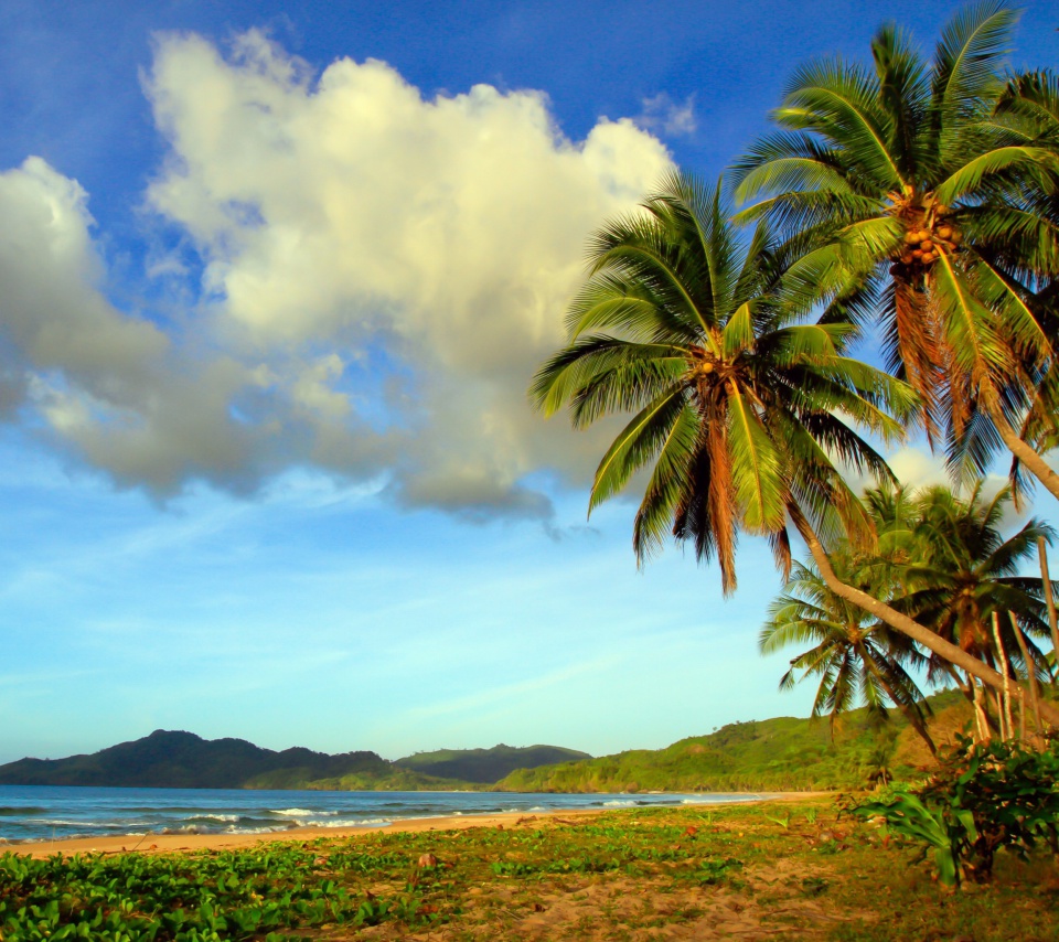 Vietnam Beach screenshot #1 960x854